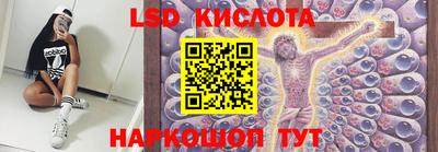 прущие грибы Камышлов