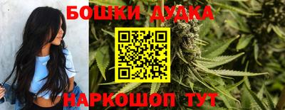прущие грибы Камышлов