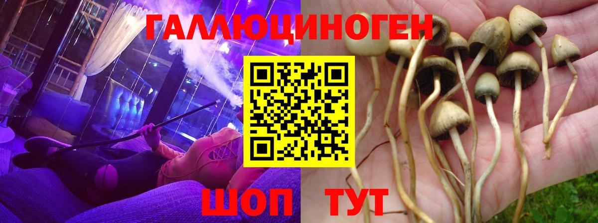 Галлюциногенные грибы мухоморы  Вход с VPN  Галлюциногенные грибы Psilocybe  Коломна 
